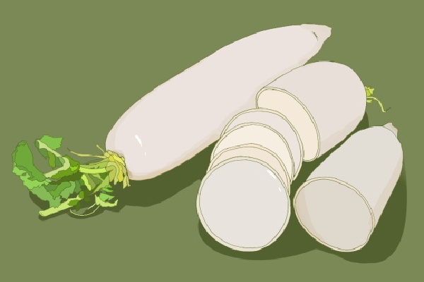 白蘿卜和紅蘿卜可以一起吃嗎 白蘿卜的功效與作用