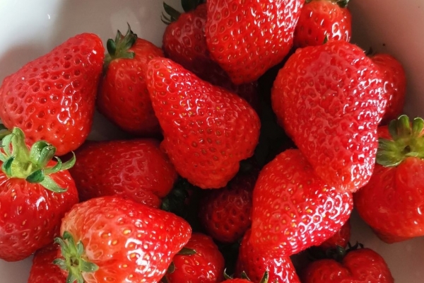 草莓一天最多吃幾顆 草莓甜品的做法