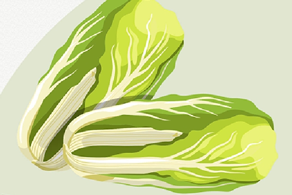 香椿芽如何長期保鮮存放 什么蔬菜適合長期儲存