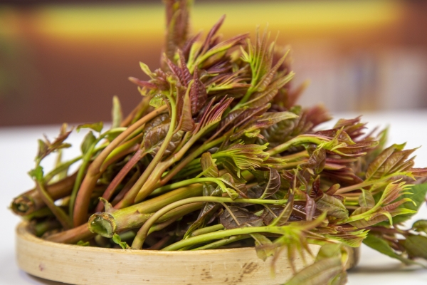 男人吃香椿壯陽嗎 香椿的功效與作用