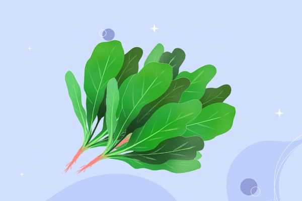 牛肉和菠菜可以一起吃嗎 不能和牛肉一起吃的食物