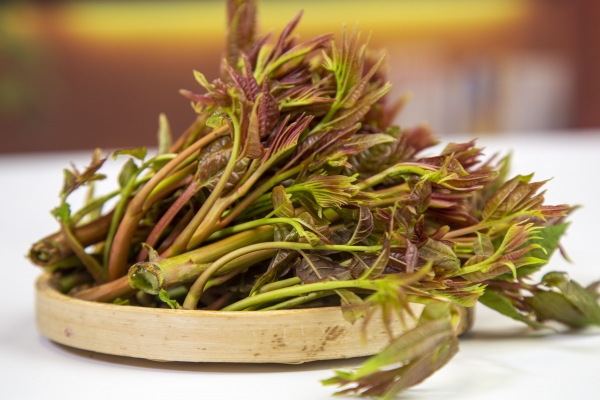 紅香椿和綠香椿的區(qū)別 香椿的功效作用