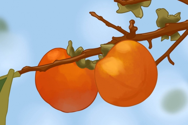 柿子和香蕉可以一起吃嗎 不能和柿子同吃的食物