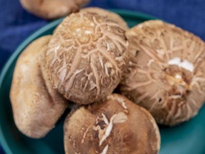 蝦不可以和什么一起吃 蝦怎么做簡(jiǎn)單好吃