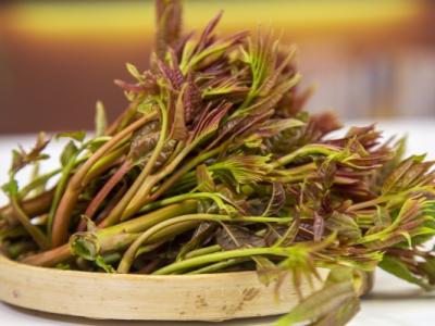 香椿不可以和什么一起吃 谷雨季節吃什么菜