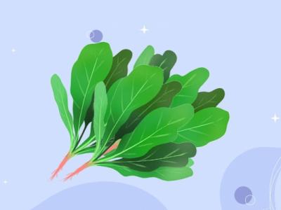 牛肉和菠菜可以一起吃嗎 不能和牛肉一起吃的食物