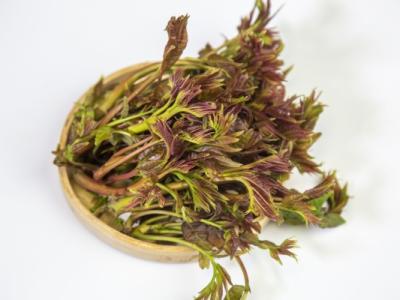 香椿芽可以生吃嗎 如何采摘新鮮的香椿芽