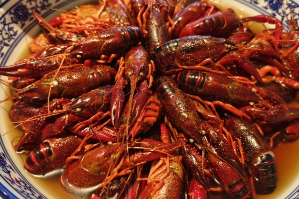 吃小龍蝦不能和什么一起吃 小龍蝦的功效作用-易網健康<a href=http://www.gyfww.com/jkys/ target=_blank class=infotextkey>養生</a>網 吃小龍蝦不能和什么一起吃 小龍蝦的功效作用