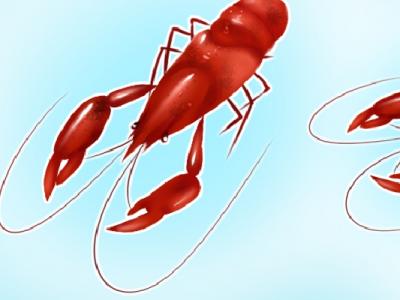 高血壓可以吃小龍蝦嗎 高血壓適合吃什么食物