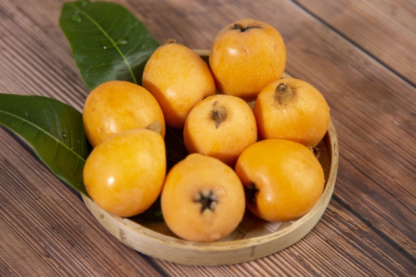 哺乳期可以吃枇杷嗎 哺乳期女性不適合吃什么