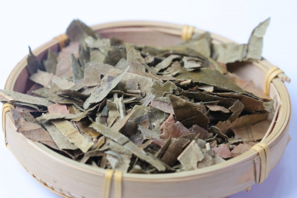 枇杷葉上的毛有什么害處 枇杷葉怎么使用