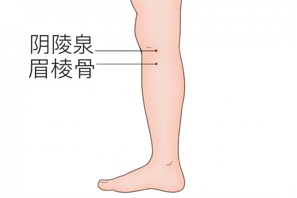身體哪個(gè)穴位可以祛風(fēng)祛濕 濕氣重時(shí)身體會(huì)有哪些表現(xiàn)