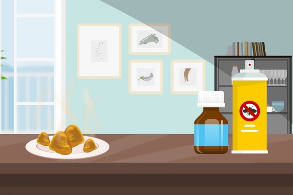 夏天床上如何除蟲效果好 夏天床上除蟲效果好的方法