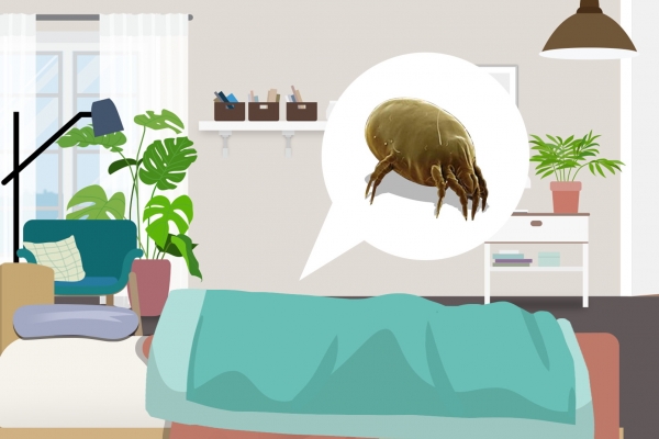 夏天床上的小圓蟲是什么 如何應對床上的小圓蟲-易網健康<a href=http://www.gyfww.com/jkys/ target=_blank class=infotextkey>養生</a>網 夏天床上的小圓蟲是什么 如何應對床上的小圓蟲