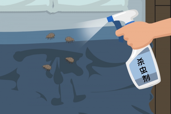 夏天床上的小圓蟲是什么 如何應對床上的小圓蟲-易網<a href=http://www.gyfww.com/ target=_blank class=infotextkey>健康養生</a>網 夏天床上的小圓蟲是什么 如何應對床上的小圓蟲