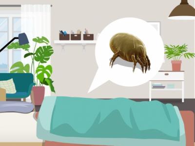 夏天床上的小圓蟲是什么 如何應對床上的小圓蟲