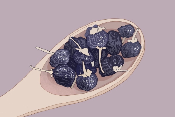 黑枸杞與紅枸杞的區別 黑枸杞和紅枸杞哪個補腎壯陽效果好 -易網<a href=http://www.gyfww.com/ target=_blank class=infotextkey>健康養生</a>網 黑枸杞與紅枸杞的區別 黑枸杞和紅枸杞哪個補腎壯陽效果好