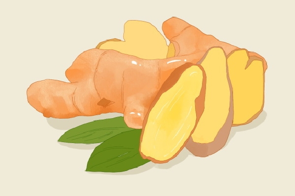 生姜如何泡水喝能祛濕去寒 生姜泡水喝的注意事項-易網健康<a href=http://www.gyfww.com/jkys/ target=_blank class=infotextkey>養生</a>網 生姜如何泡水喝能祛濕去寒 生姜泡水喝的注意事項