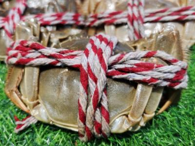 大閘蟹為什么用蒸不用水煮 蒸螃蟹相較于煮螃蟹的好處