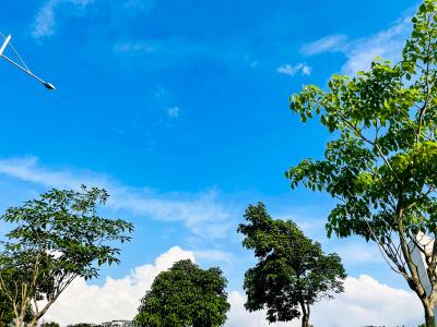 三伏天穿短褲涼快還是裙子 三伏天吃什么養生