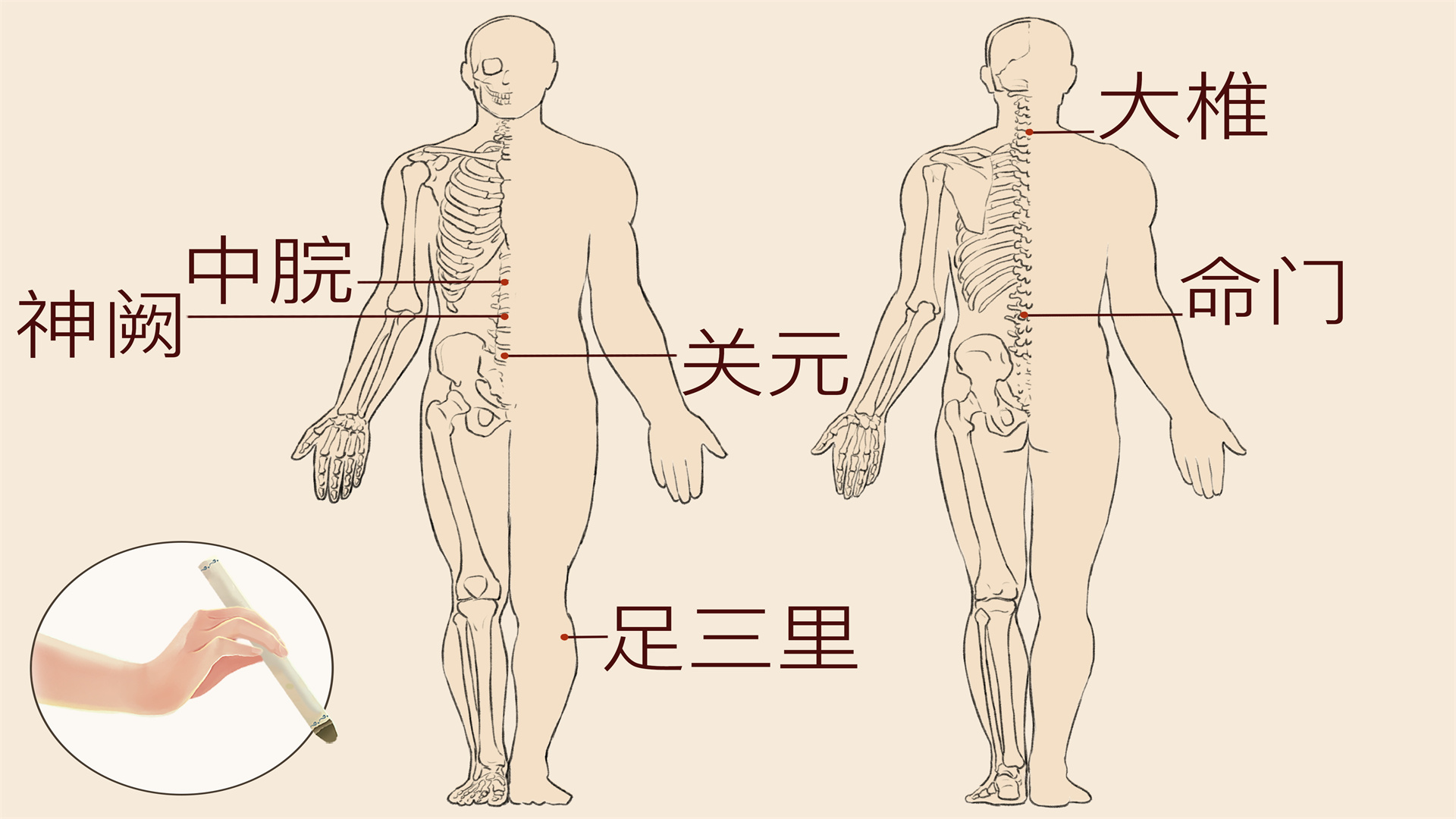 三伏天艾灸的最佳位置是哪里 艾灸的注意事項