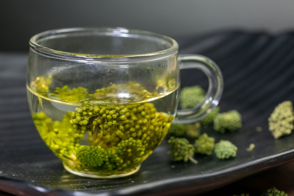 女生夏季三伏天喝什么茶 推薦女生三伏天喝的茶-易網健康養生網 女生夏季三伏天喝什么茶 推薦女生三伏天喝的茶