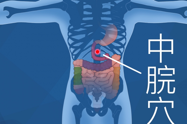 調(diào)脾胃三伏天貼什么穴位 三伏天貼敷注意事項(xiàng)