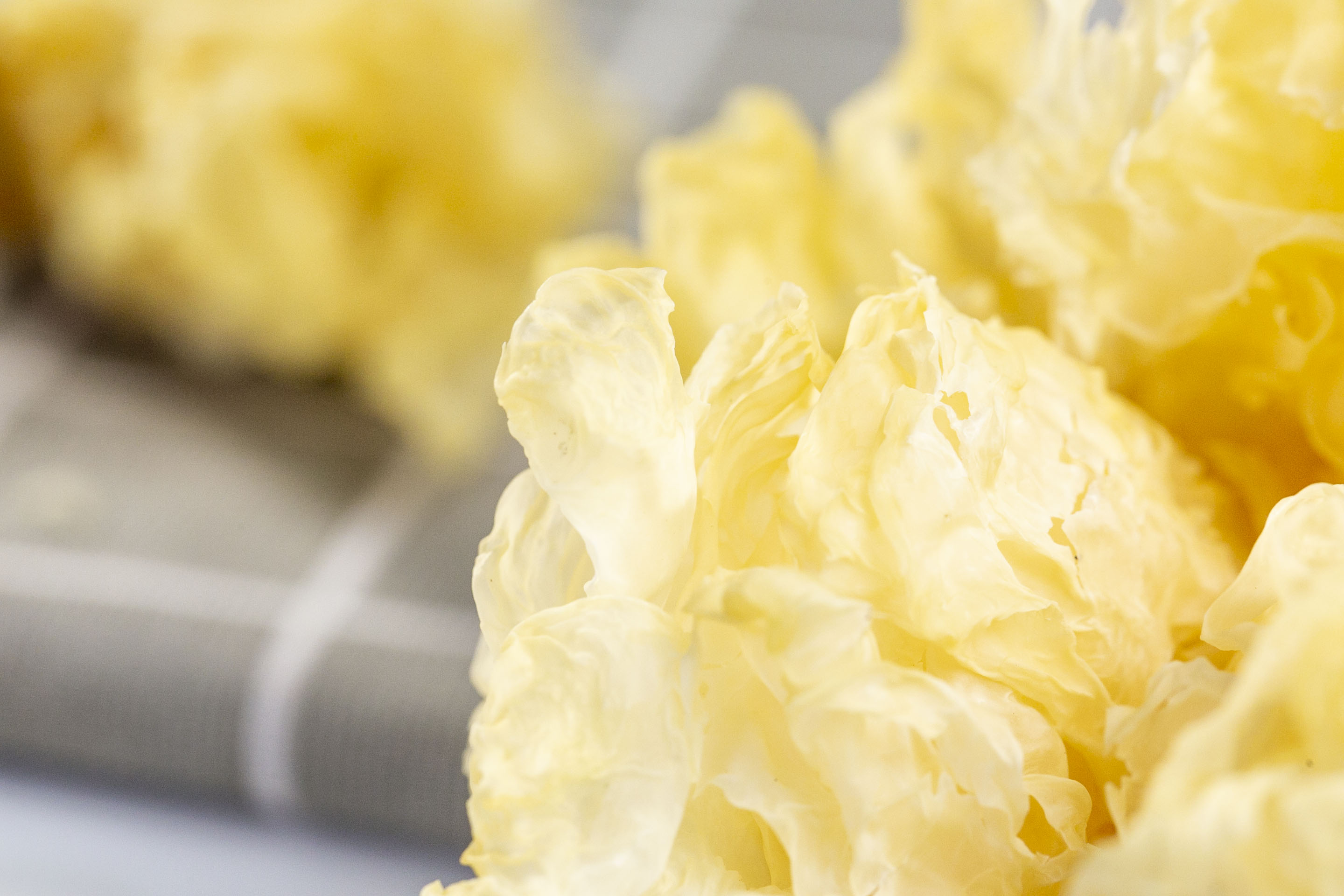 補肺氣的食物有哪些 補肺氣人們常吃的食物