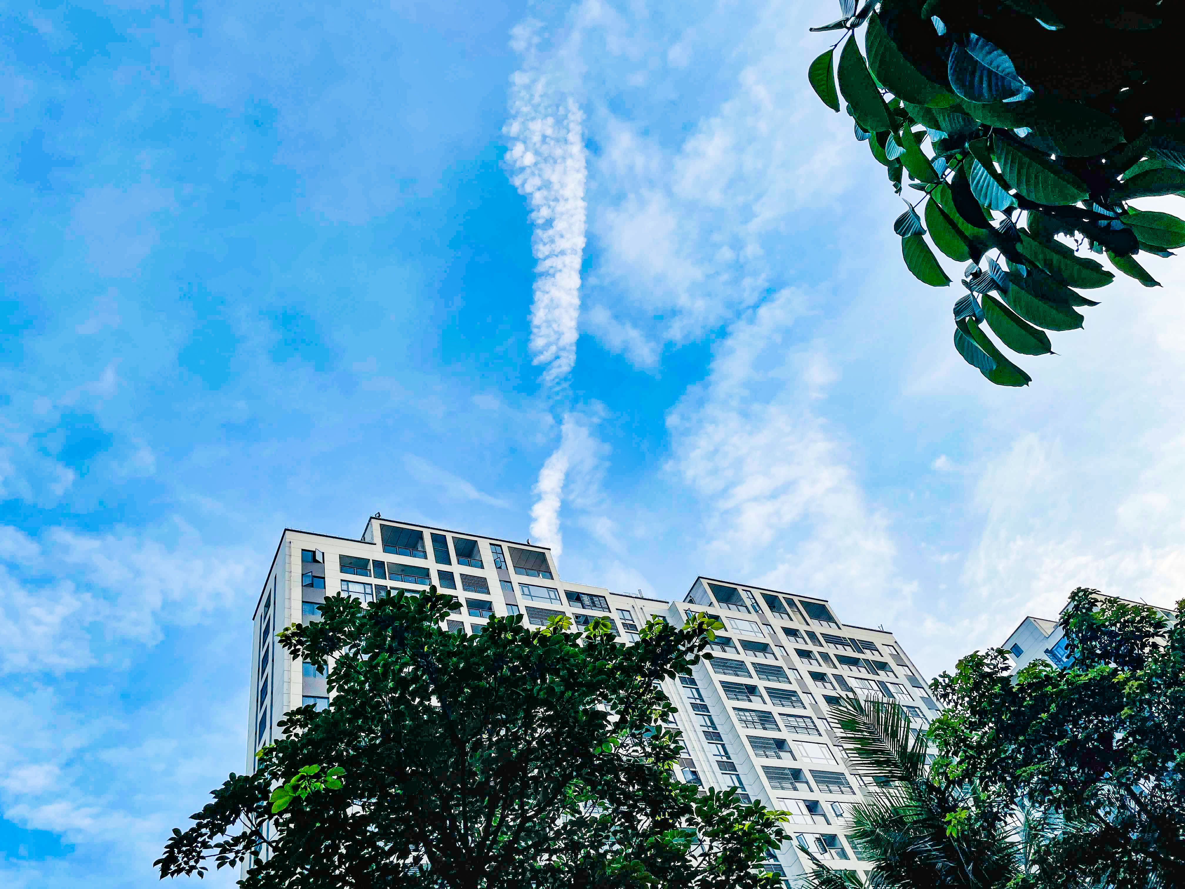 三伏天早上喝姜出汗好嗎 三伏天養生的注意事項