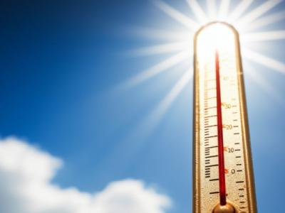 三伏天怎樣保養吃哪些食物 三伏天吃哪些食物比較好