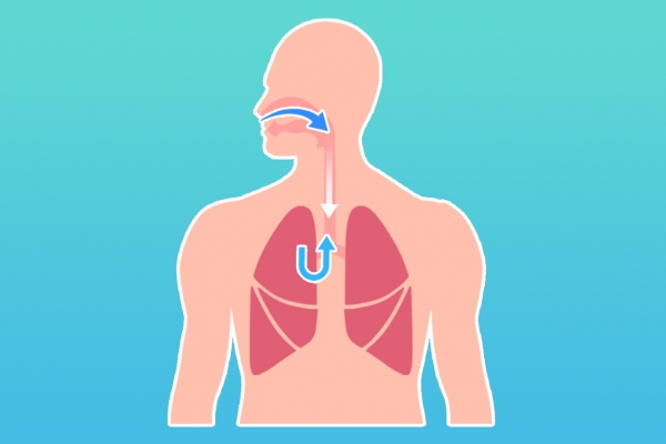 補肺潤肺的食物有哪些 5個養(yǎng)肺小妙招