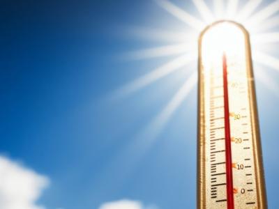 三伏天可以喝紅棗粥嗎 三伏天養(yǎng)生食譜