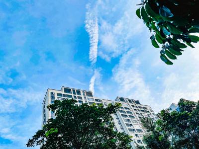 三伏天如何調(diào)理脾胃虛寒 三伏實用養(yǎng)生指南