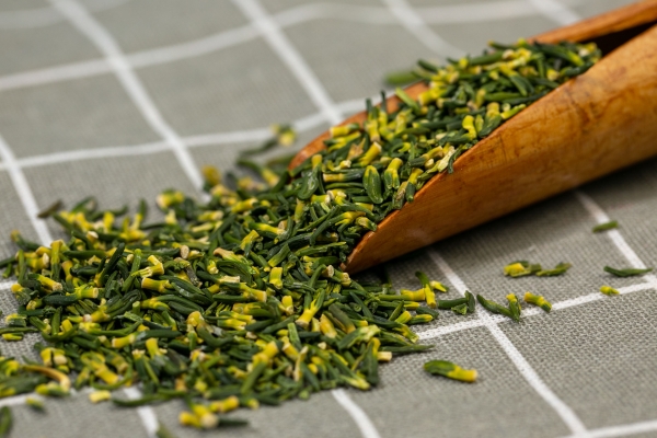 蓮子心泡水男性能喝嗎 蓮子心泡水喝能去肝火嗎-易網健康養生網 蓮子心泡水男性能喝嗎 蓮子心泡水喝能去肝火嗎