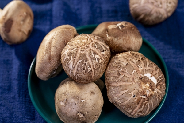 干香菇一般要泡多久才能食用 干香菇怎么泡才正確