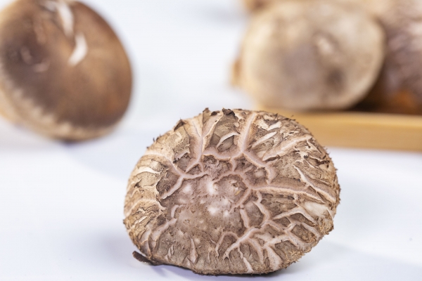 干香菇一般要泡多久才能食用 干香菇怎么泡才正確