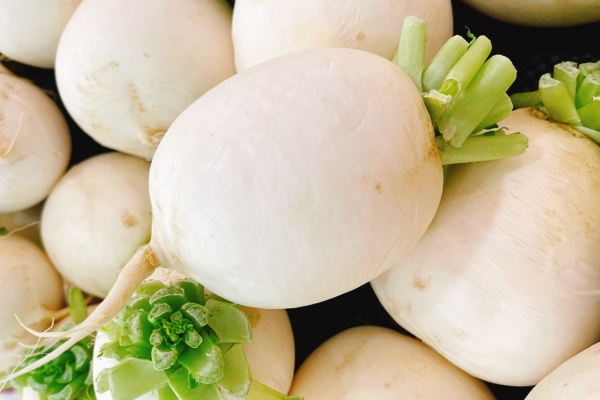 白蘿卜怎么吃止咳化痰 哪種蘿卜止咳化痰效果好