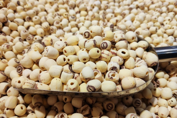 蓮子心和什么搭配泡水喝最好 蓮子心配什么不傷脾胃-易網(wǎng)<a href=http://www.gyfww.com/ target=_blank class=infotextkey>健康養(yǎng)生</a>網(wǎng) 蓮子心和什么搭配泡水喝最好 蓮子心配什么不傷脾胃