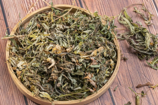 艾草洗腳能祛濕嗎 艾草洗腳的注意事項