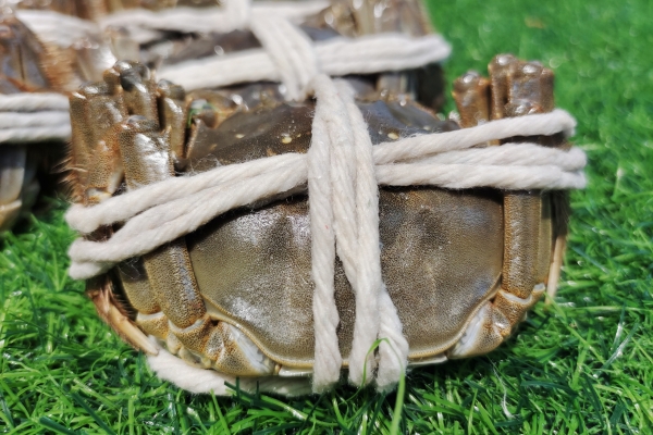 大閘蟹過了幾月份就不能吃了 哪些人群不能食用大閘蟹-易網<a href=http://www.gyfww.com/ target=_blank class=infotextkey>健康養生</a>網 大閘蟹過了幾月份就不能吃了 哪些人群不能食用大閘蟹