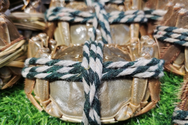 大閘蟹為什么不能放過夜 吃大閘蟹需要注意什么