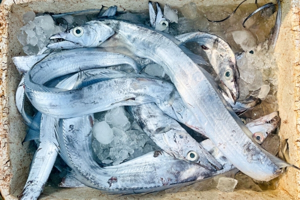 肝火旺能吃枸杞嗎 吃什么是養肝的