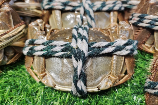 吃完大閘蟹后不能吃什么 吃完大閘蟹能吃香蕉嗎-易網健康<a href=http://www.gyfww.com/jkys/ target=_blank class=infotextkey>養生</a>網 吃完大閘蟹后不能吃什么 吃完大閘蟹能吃香蕉嗎