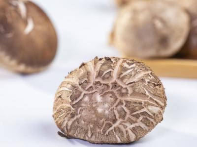 干香菇一般要泡多久才能食用 干香菇怎么泡才正確