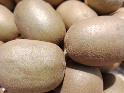 獼猴桃保鮮及儲存方法 獼猴桃的營養(yǎng)價(jià)值