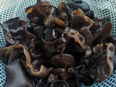 黑木耳泡多久有毒不能吃了 黑木耳怎么泡發(fā)好
