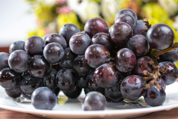 葡萄皮的功效與作用、禁忌和食用方法