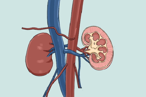 腎衰竭有什么癥狀?