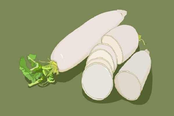 白蘿卜是排氣還是脹氣-易網健康<a href=http://www.gyfww.com/jkys/ target=_blank class=infotextkey>養生</a>網 白蘿卜是排氣還是脹氣