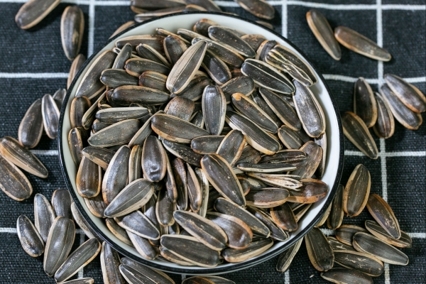 痛風(fēng)能不能吃葵花瓜子-易網(wǎng)健康<a href=http://www.gyfww.com/jkys/ target=_blank class=infotextkey>養(yǎng)生</a>網(wǎng) 痛風(fēng)能不能吃葵花瓜子